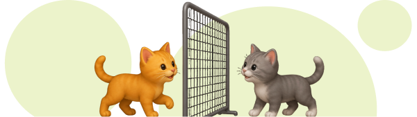 Как познакомить котенка с другой кошкой